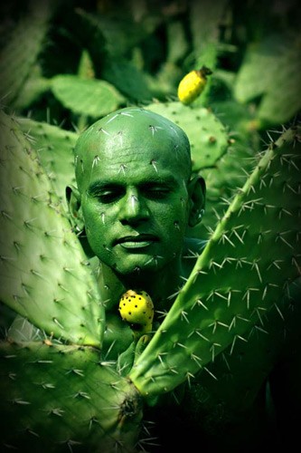 http://shop.wb-production.com/media/images/velocity-popup/Johannes_Stoetter-Cactus.jpg