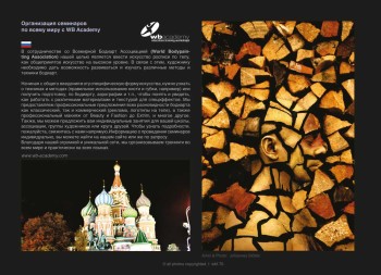 WBF e-Magazin 2013 (Download)